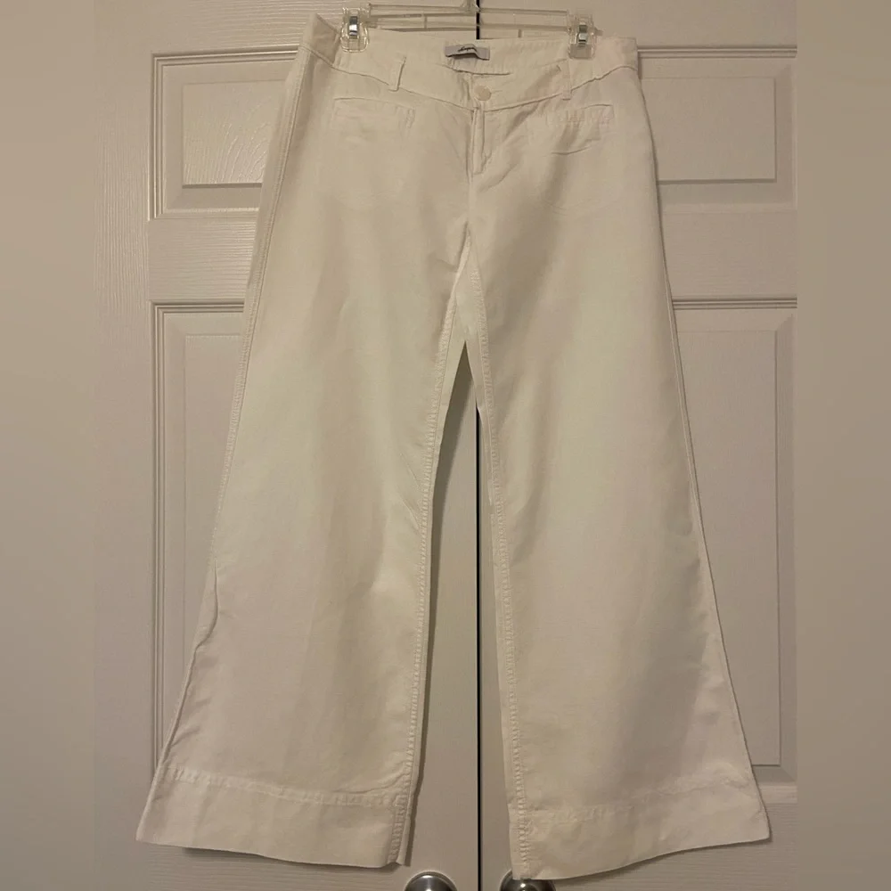 Express Linen Pants - Picture 1 of 3